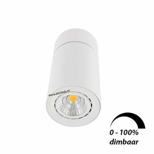 LED opbouwspot Malta 6Watt rond kantelbaar WIT dimbaar-4
