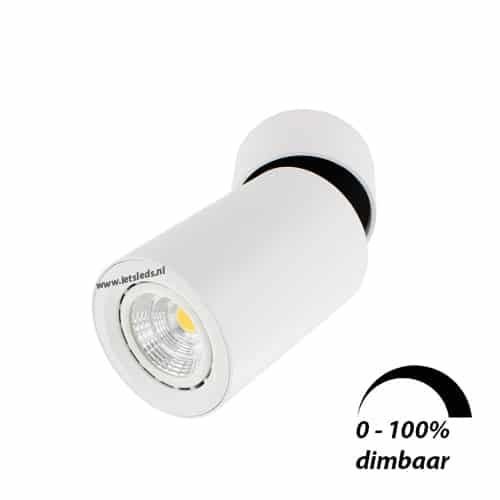 LED opbouwspot Malta 6Watt rond kantelbaar WIT dimbaar-5